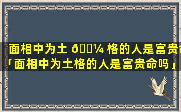 面相中为土 🐼 格的人是富贵命「面相中为土格的人是富贵命吗」